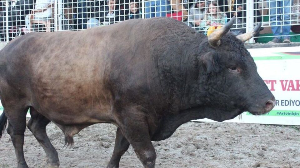 Heykeli yapılmıştı... Rekor fiyata satıldı