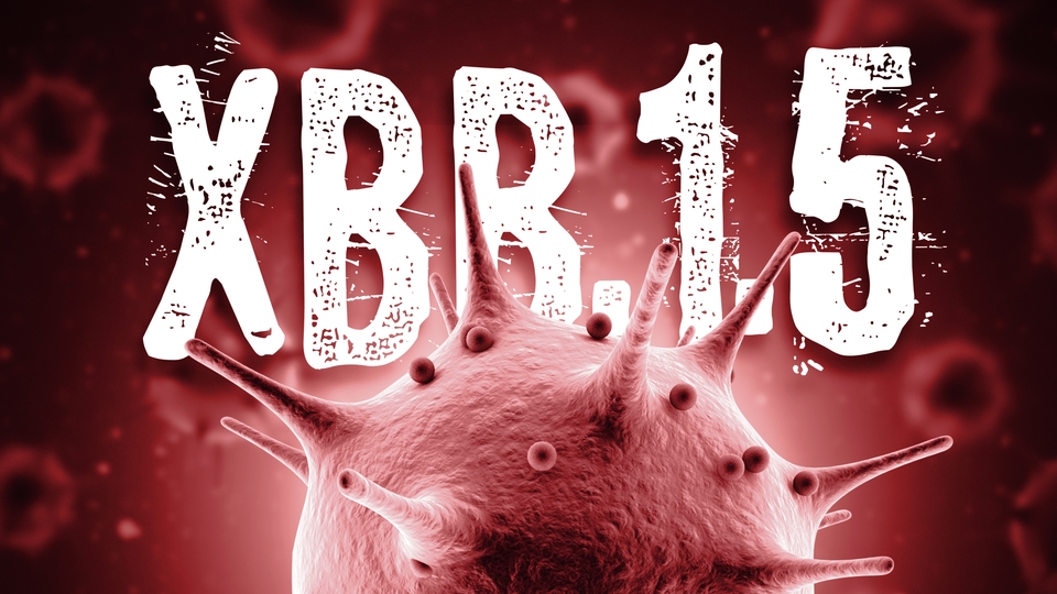 Kraken hızla yayılıyor! Uzmanlar endişeli!