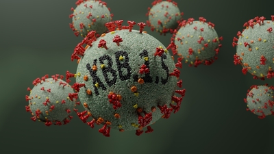 ECDC'den kraken uyarısı!