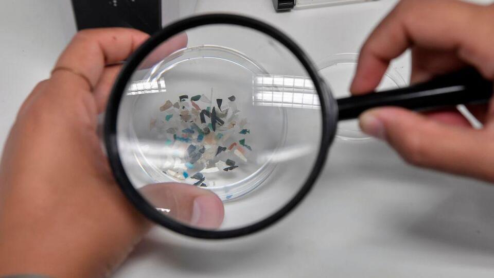 Mikroplastikler topraktan gıdalara nasıl sızıyor?