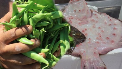 Beykoz'la ilgili bir yanlış bir doğru