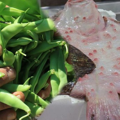 Beykoz'la ilgili bir yanlış bir doğru