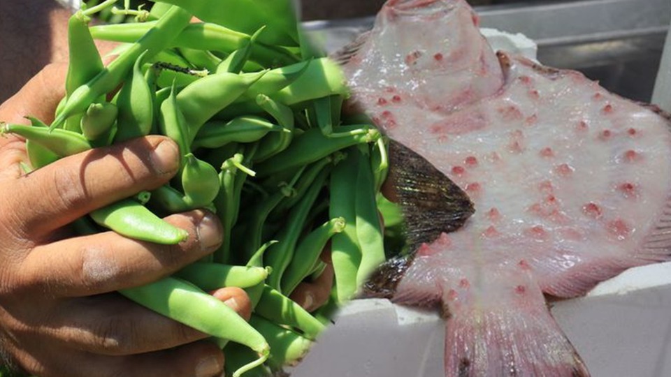 Beykoz'la ilgili bir yanlış bir doğru