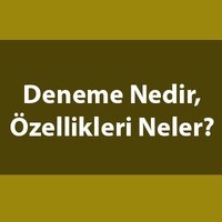 Deneme nedir, özellikleri nelerdir?