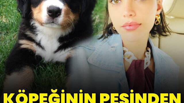 Köpeğinin peşinden denize atladı