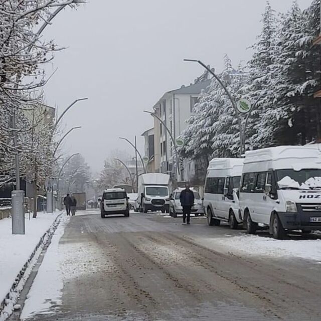 Ölen inek kuduz çıktı, 6 ay yasaklandı