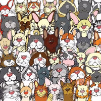 Beyin yakan dikkat testi: Saniyeler içinde ineği bulanların IQ'su 140 çıkıyor