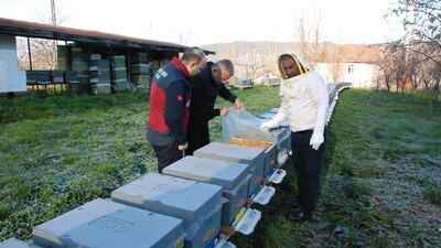 İklim krizi arıları da vurdu! Kış uykusuna geçemediler