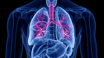 Çocuklukta cinsel istismar astım nedeni!