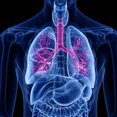 Çocuklukta cinsel istismar astım nedeni!