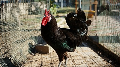 Doğru Sütyen Bedeni Seçimi Nasıl Olmalı?