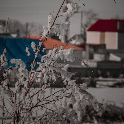 Doğu Anadolu, Sibirya gibi... Rekoru -25 ile o ilçemiz kırdı!