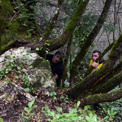 Küre Dağları'nda tesadüfen bulundu