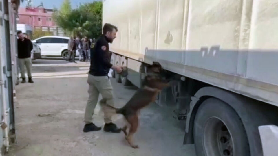 TIR'dan 87 kilo esrar çıktı, 'Hepsi benim' dedi