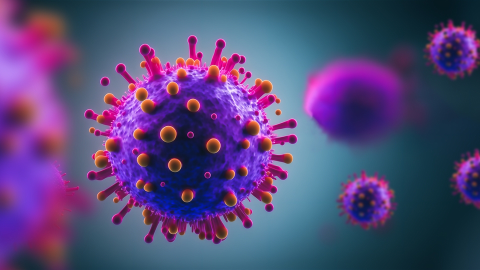 AB'nin sağlık kuruluşu Kraken'in risk seviyesini açıkladı