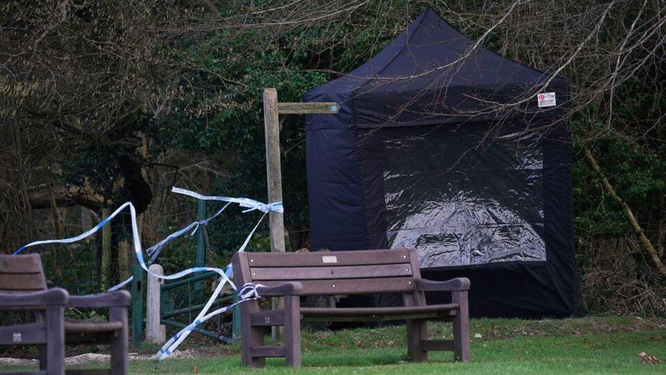 İngiltere'de bir köpek gezdiricisi köpekler tarafından öldürüldü