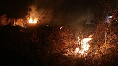 Kastabala Kuş Cenneti'nde yangın çıktı