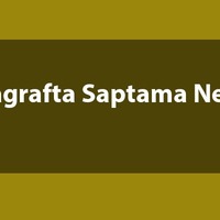 Paragrafta saptama nedir?