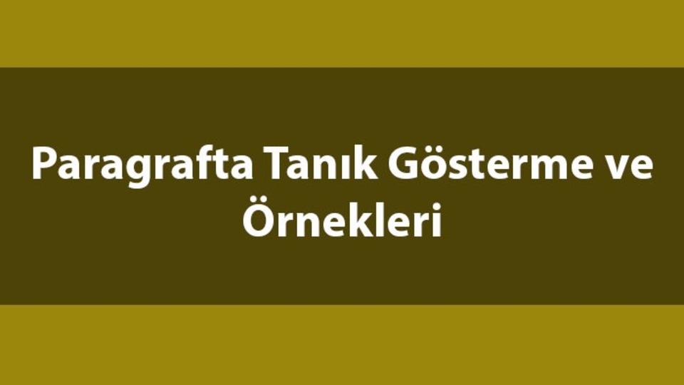 Paragrafta tanık gösterme örnekleri