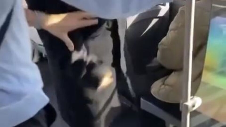 Metrobüste yolcu ortalığı birbirine kattı