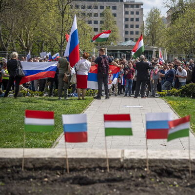 Macaristan'da kritik Rusya anketi