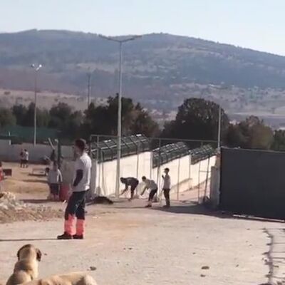 Konya'da köpeğin kürekle öldürülmesi olayında sıcak gelişme!