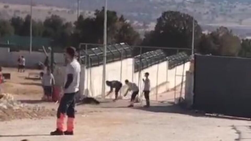 Konya'da köpeğin kürekle öldürülmesi olayında sıcak gelişme!