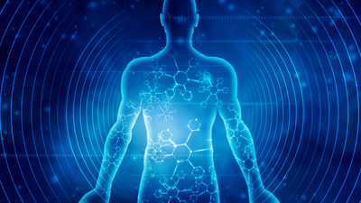 Sağlıklı bağırsak hastalıkların önlenmesine katkı sağlıyor