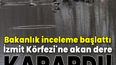 İzmit Körfezi'ne akan dere karardı!