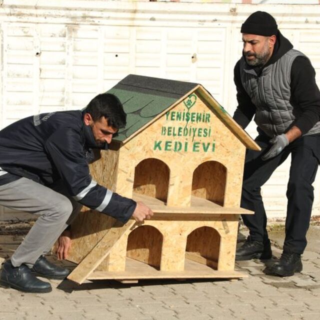 Diyarbakır'da sahipsiz hayvanlara yuva yapıldı