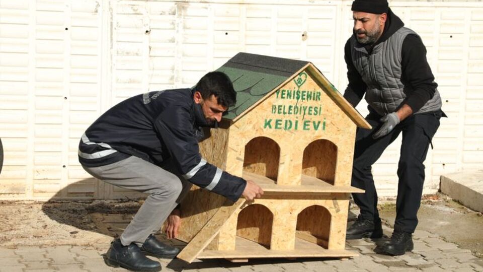 Diyarbakır'da sahipsiz hayvanlara yuva yapıldı
