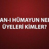 Divan-I Hümayun nedir, özellikleri neler?