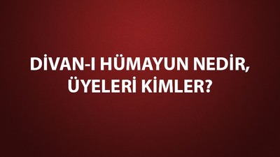 Divan-I Hümayun nedir, özellikleri neler?