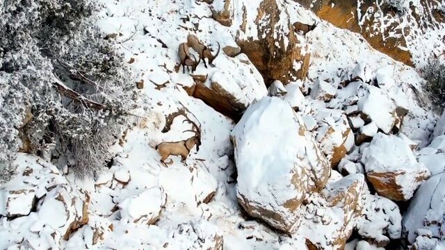 Zirvesi karla kaplanan dağda görüntülendi