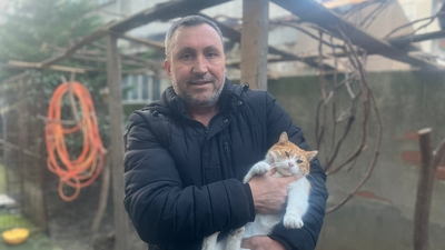 Yaralı kediye yardım etmek isteyen kişiye silah doğrulttu!