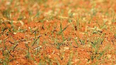 "Meteorolojik kuraklık" tarımı tehdit ediyor!