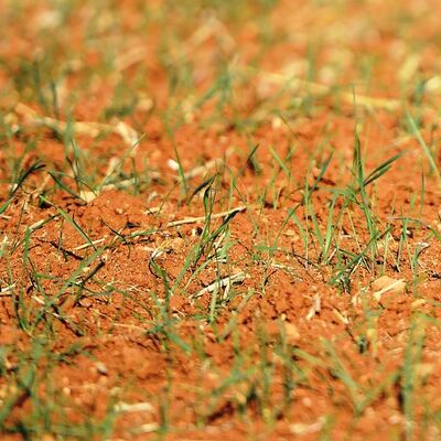 "Meteorolojik kuraklık" tarımı tehdit ediyor!