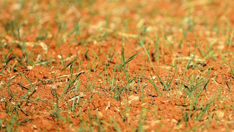 "Meteorolojik kuraklık" tarımı tehdit ediyor!