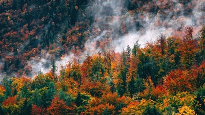 Koç'un projesi dünyaya örnek gösterildi