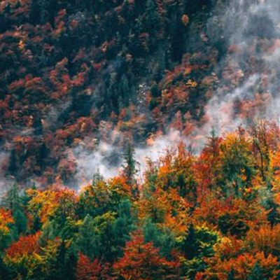 Koç'un projesi dünyaya örnek gösterildi