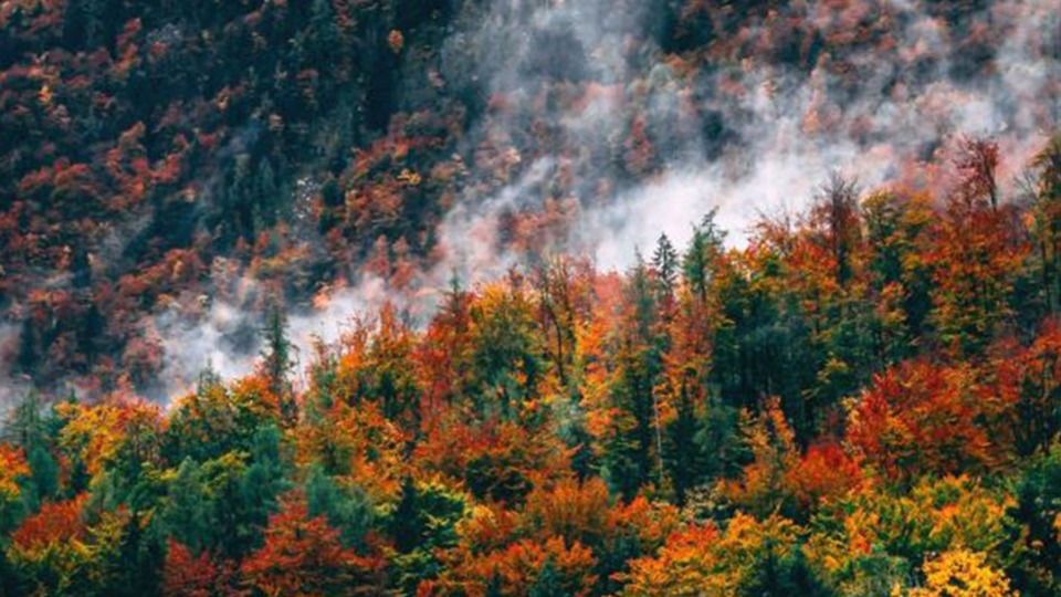 Koç'un projesi dünyaya örnek gösterildi