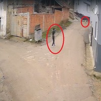 Bir canilik daha! Sokak köpeğine kurşun yağdırdı