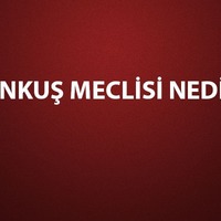 Pankuş Meclisi nedir, özellikleri neler?