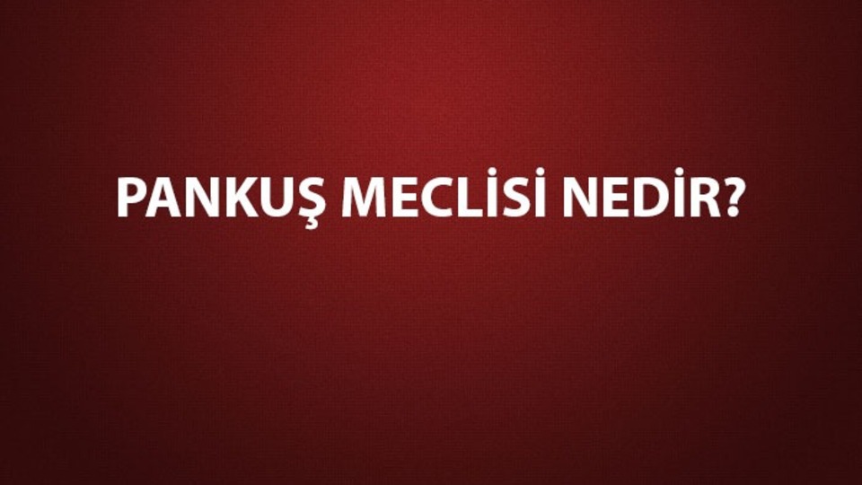 Pankuş Meclisi nedir, özellikleri neler?