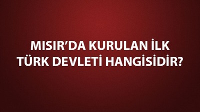 Mısır'da kurulan ilk Türk İslam devleti