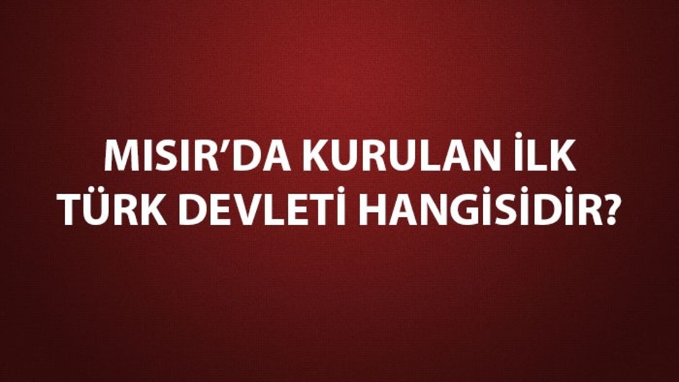 Mısır'da kurulan ilk Türk İslam devleti