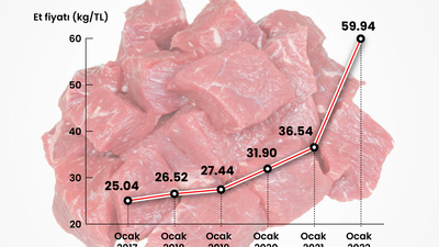 Et ithalatı başladı!