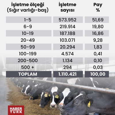 Et ithalatı başladı!