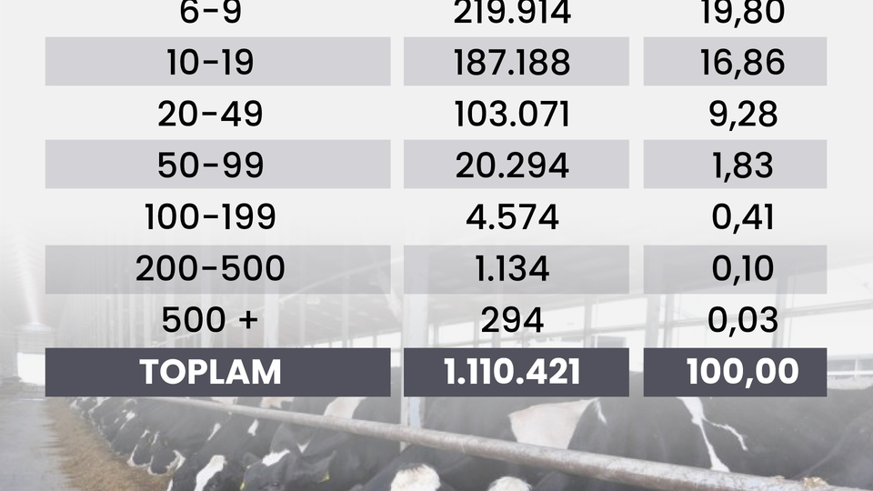 Et ithalatı başladı!