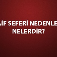 Taif Seferi nedenleri, sonuçları